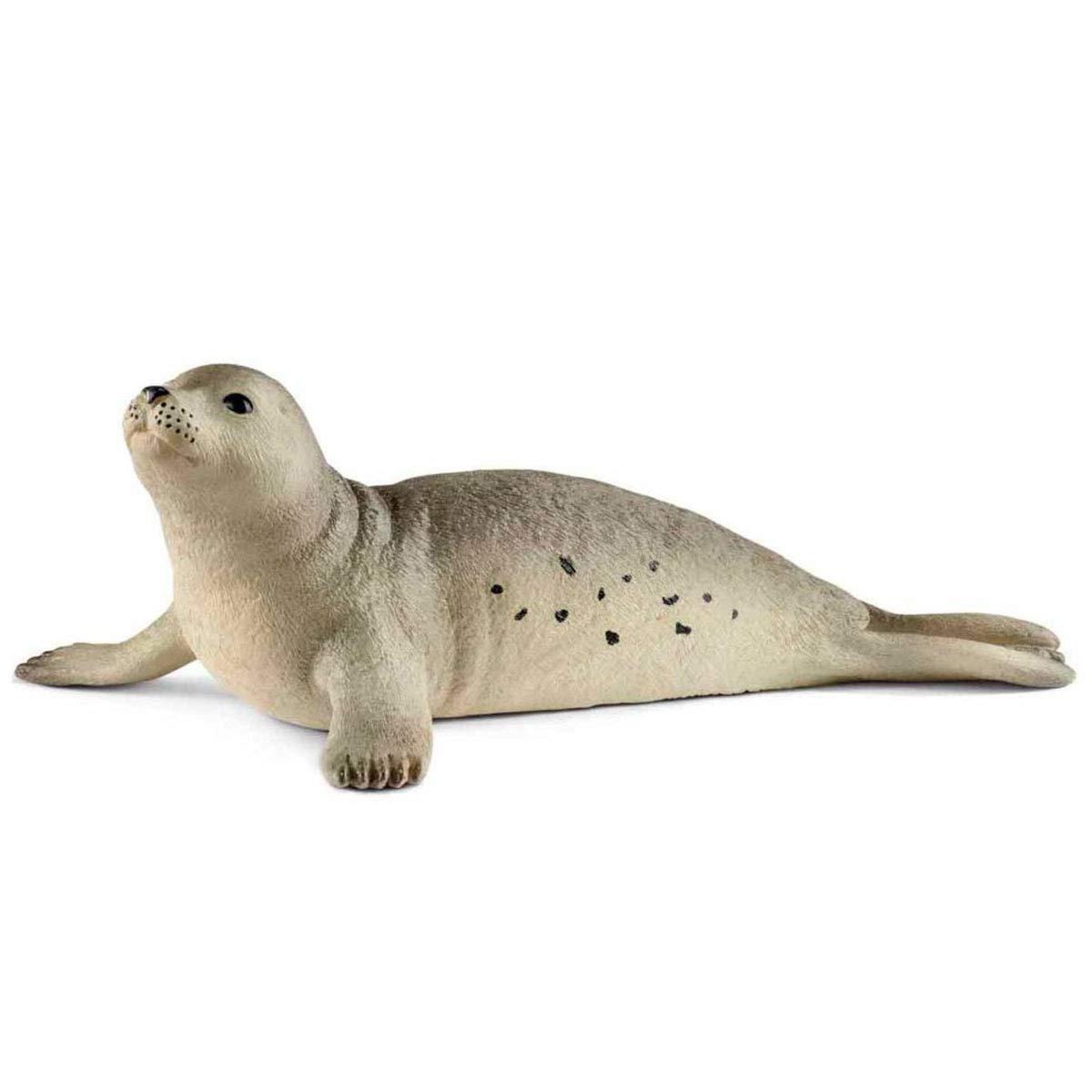 Amazon.co.jp: シュライヒ schleich ワイルドライフ アザラシ